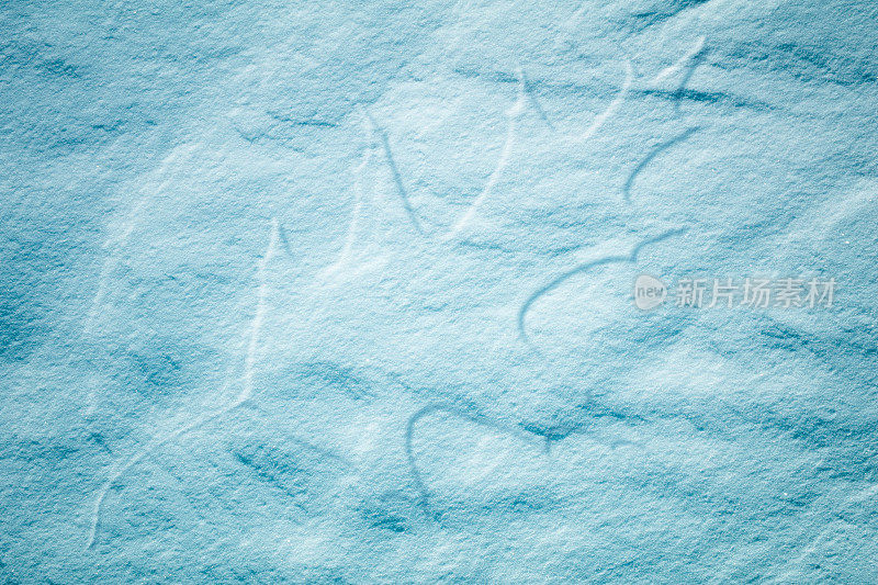 冰冻橡树叶的特写纹理