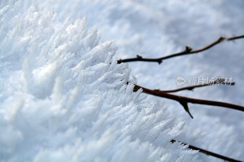 雪晶