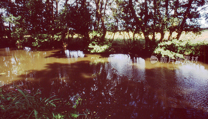 运河拖道绿色郁郁葱葱的河流风景和景观拍摄35mm彩色胶片与徕卡相机