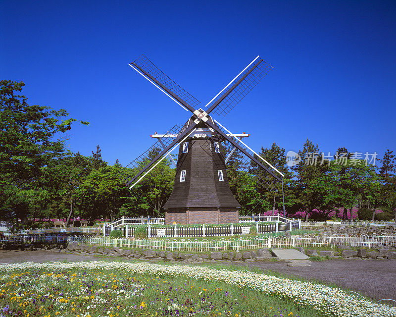 日本爱知县明治公园花园中的风车