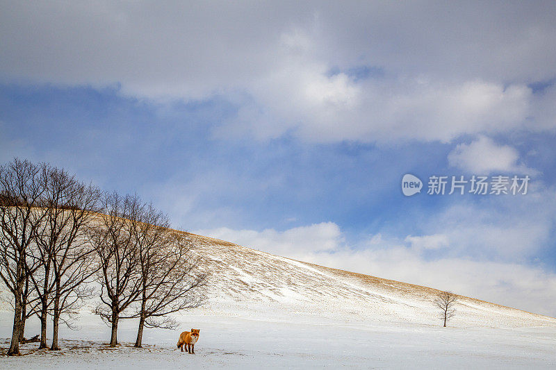 va108雪场景