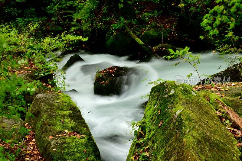 日本青森县磐濑山溪的初秋