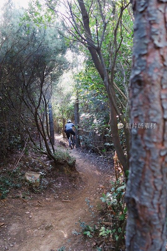 一对年轻夫妇在克罗地亚的森林里骑山地自行车