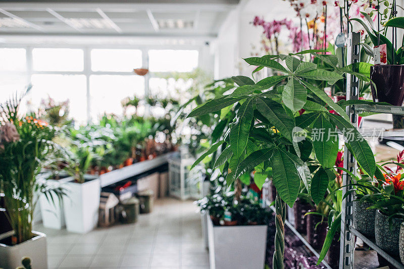 花店室内