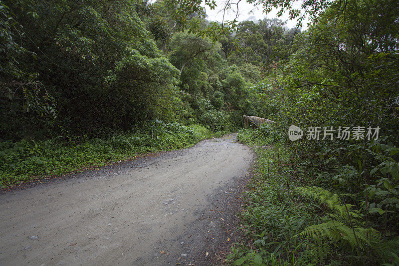 巴西内陆的土路