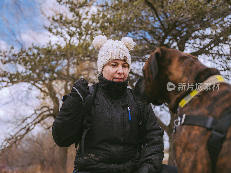 女训犬师与年轻的拳师犬