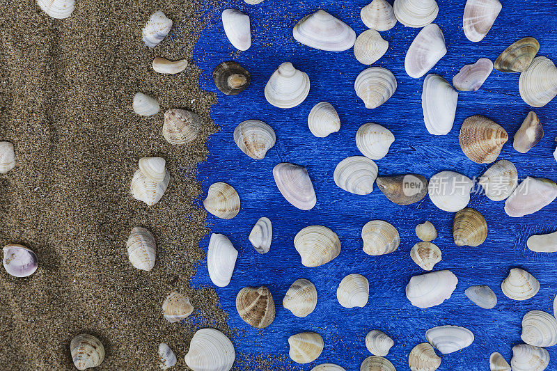 夏季时间概念与海贝在蓝色木制背景和沙子。贝壳框架在木制背景航海边界。
