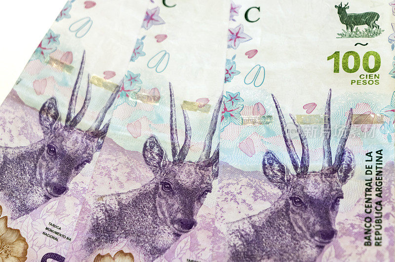 阿根廷钞票上印着本地受保护物种“塔鲁卡”潘帕斯草原上的鹿。