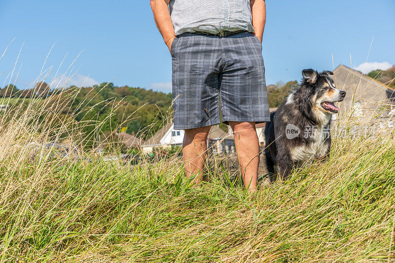 边境牧羊犬与主人在草地上的河岸