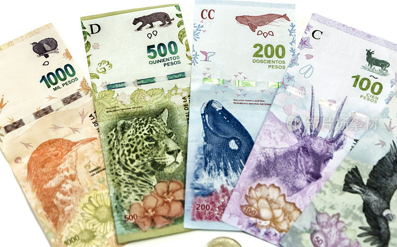阿根廷的纸币上印有本地和受保护的动物物种。