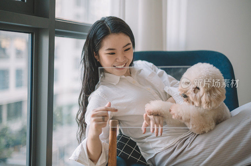 一个亚裔中国少女在客厅里和她的玩具贵宾犬在玩平板电脑