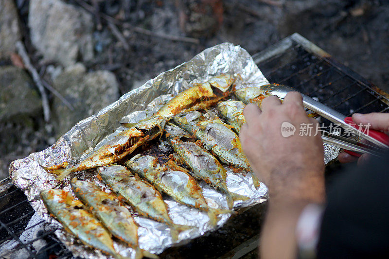 野餐:语言的友谊