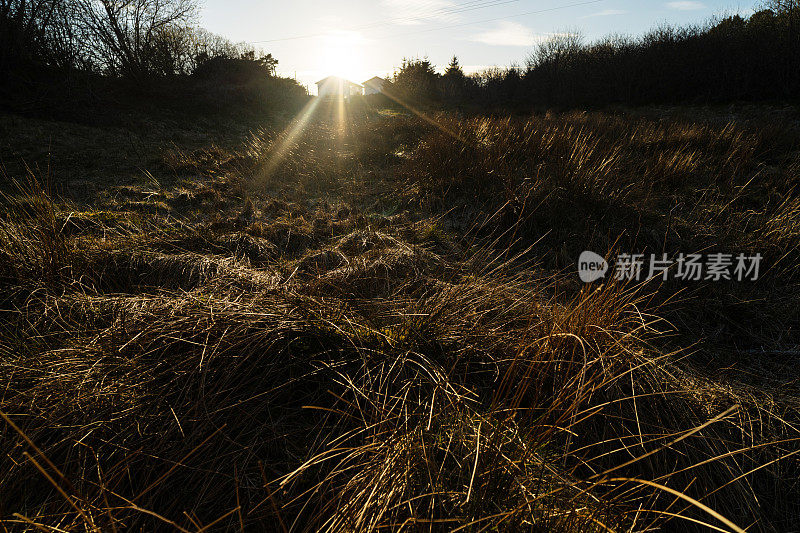 挪威的乡村景观:沼泽水域上的通道