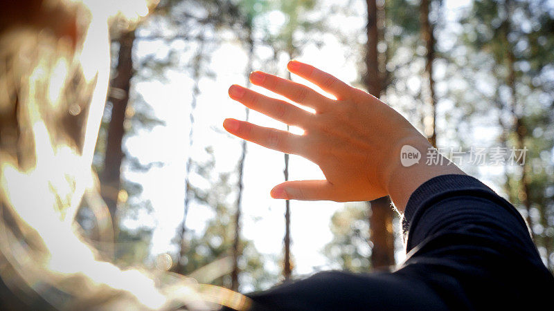 年轻女子的特写照片看着明亮的阳光透过她的手指在森林