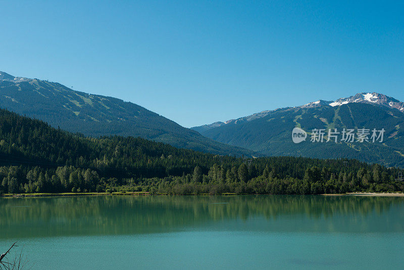 夏天的惠斯勒黑梳