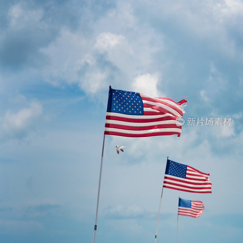 三面美国国旗映衬着蓝色的天空