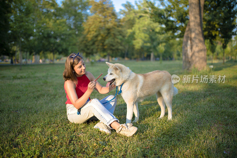 年轻女子在公园里威胁喂秋田犬