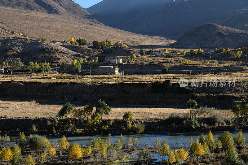 村庄在西藏