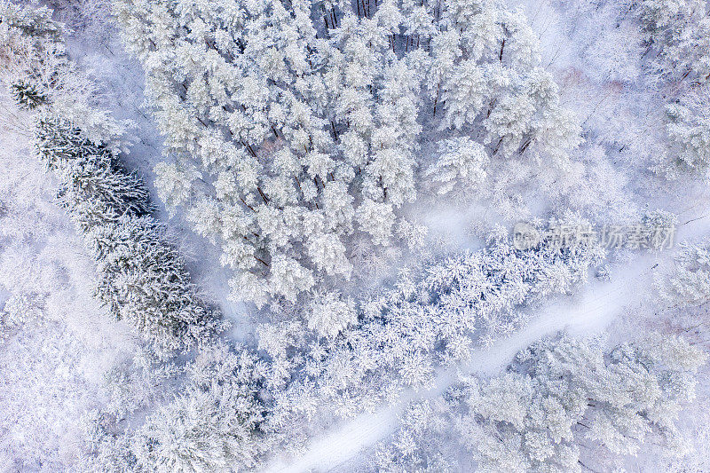 铁路被积雪覆盖的森林所包围的鸟瞰图。