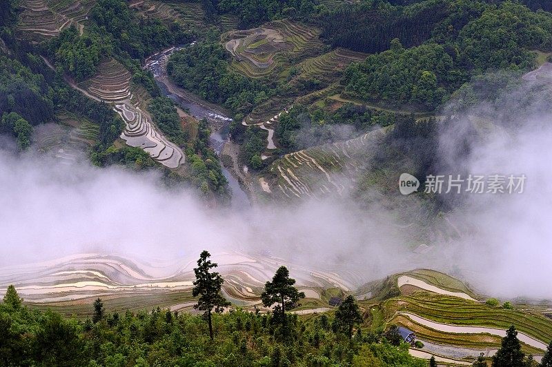 中国贵州，云天雾地