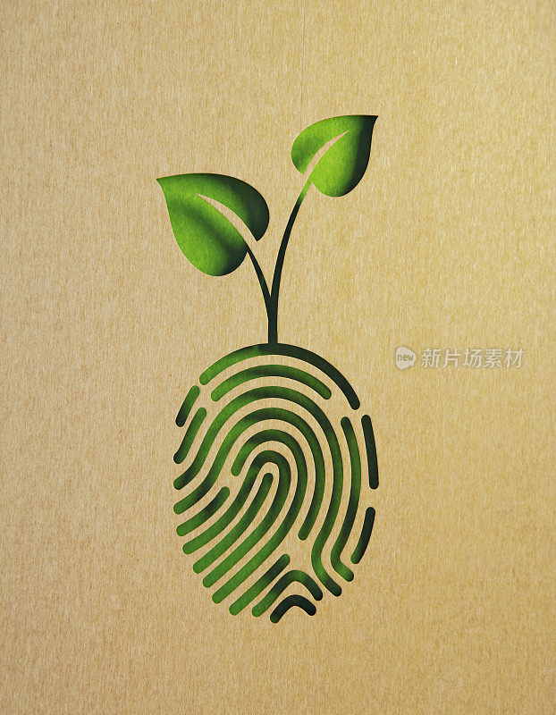 可持续发展的概念-从绿色背景上的指纹形状剪出再生纸的叶子形状