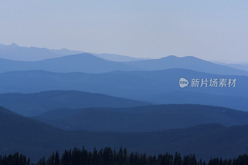 俄勒冈州风景森林的蓝色起伏丘陵剪影。蓝色光线和深色山脉的阴影