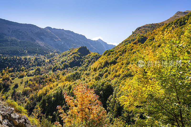 奥德萨比利牛斯山在韦斯卡的秋天，布哈鲁洛山毛榉林西班牙