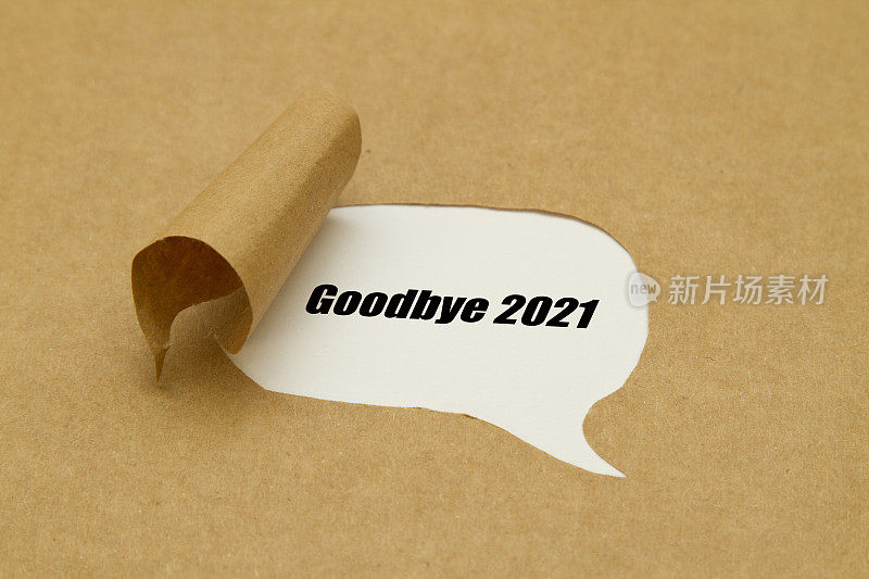 再见2021