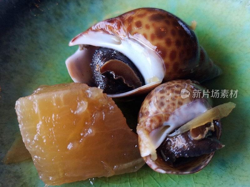 蜗牛、香港
