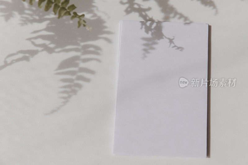 空白纸花和花模拟背景，贺卡，生日邀请概念上的白色背景