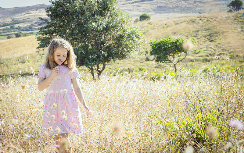 年轻的金发女孩在乡间散步时闻到花香