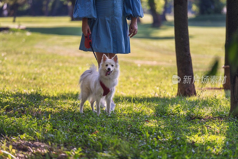 女人和宠物狗在大自然中享受时光