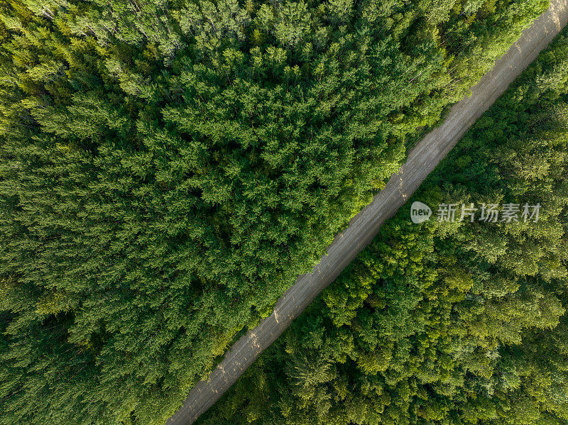 鸟瞰穿过原始森林的林间公路