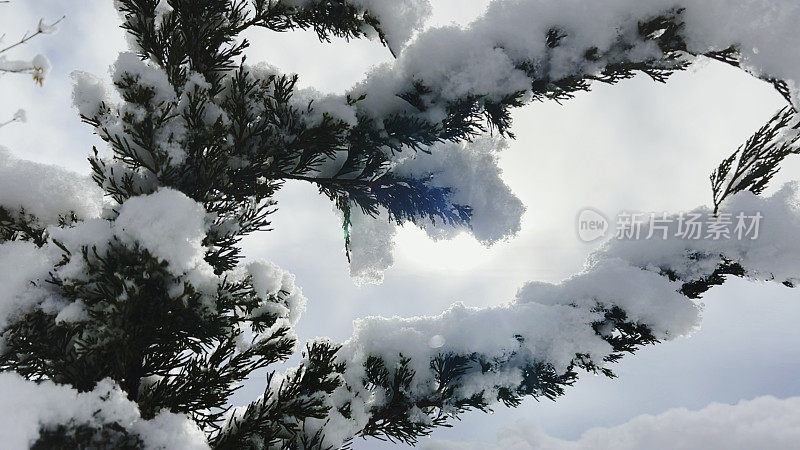 在美国西部的灌木景观的冬季积雪的观点系列照片