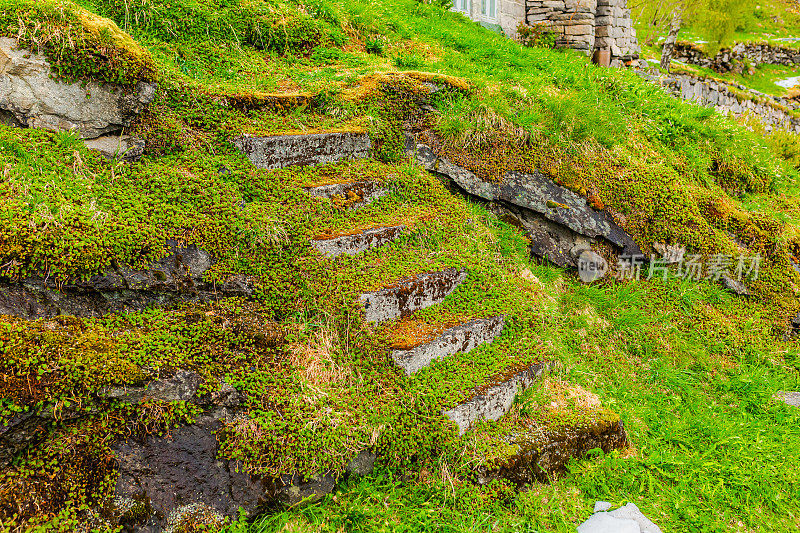 长满青苔的楼梯。北部的本性。山的风景。挪威。斯堪的纳维亚半岛的春天。更多关于罗姆斯代尔县的报道
