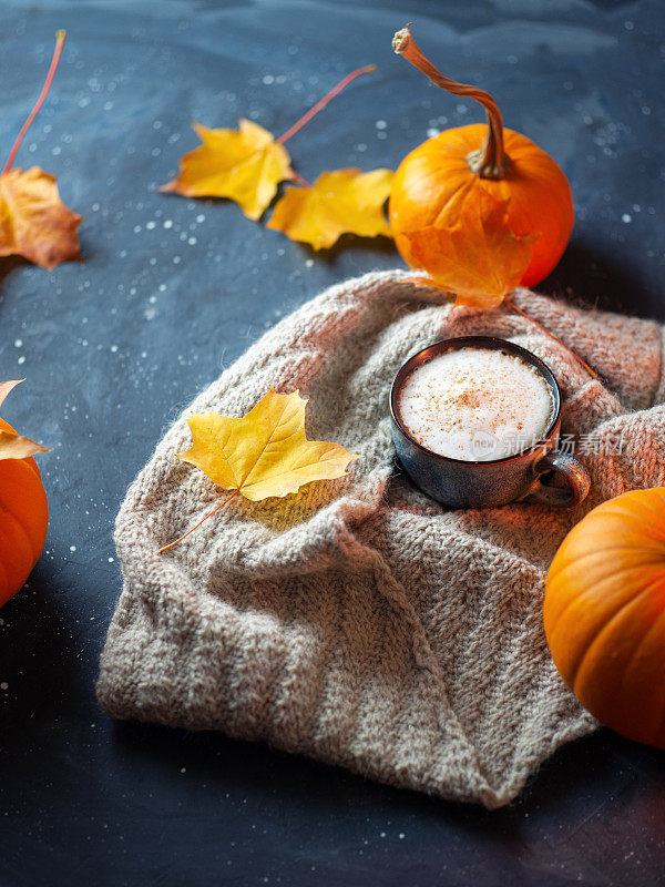 一杯加肉桂的热卡布奇诺。织暖和的围巾，桌上的南瓜和枫叶。舒适的秋天气氛