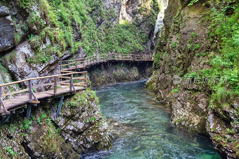斯洛文尼亚的Vintgar峡谷