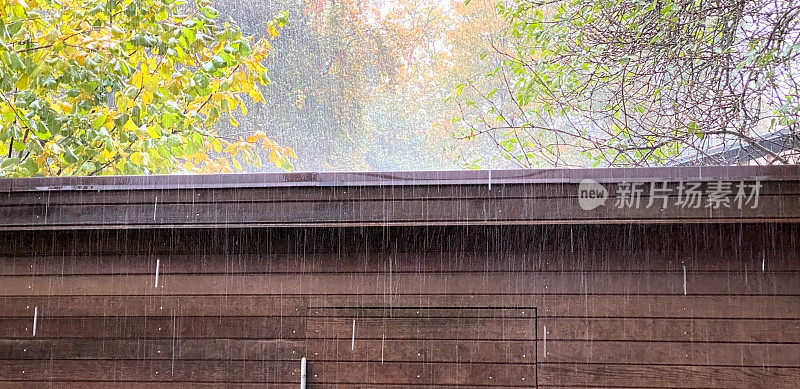 房主保险是否包括雨水或漏水造成的水损失?
