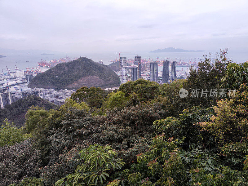 从广东省南山俯瞰深圳蛇口区