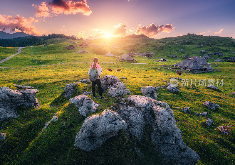 夏日夕阳下，美丽古老的高山村庄里，石头上背着背包的女孩，绿色草地上的奶牛。有年轻女人的风景，房子，树，紫色的天空。斯洛文尼亚徒步旅行