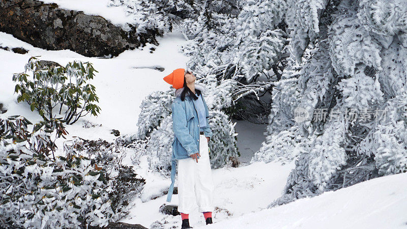 一个女人在寒冷的天气里穿行于白雪覆盖的山林之中