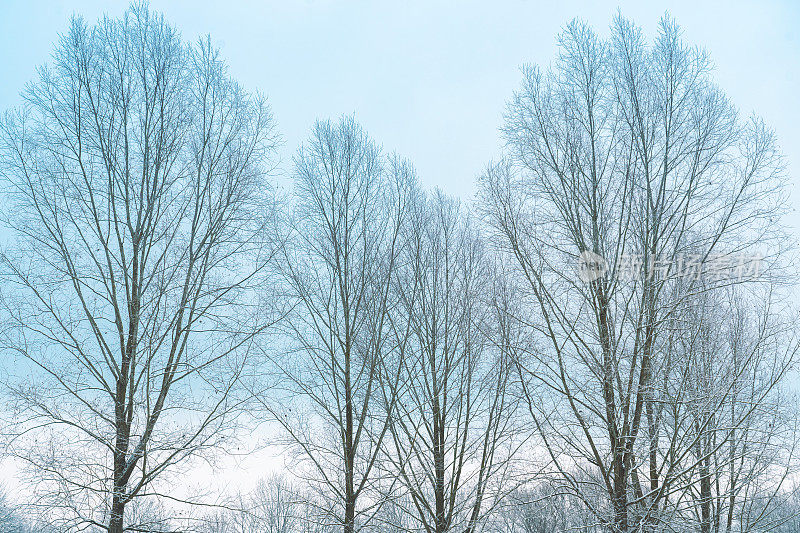 一个寒冷的早晨，本季的第一层雪