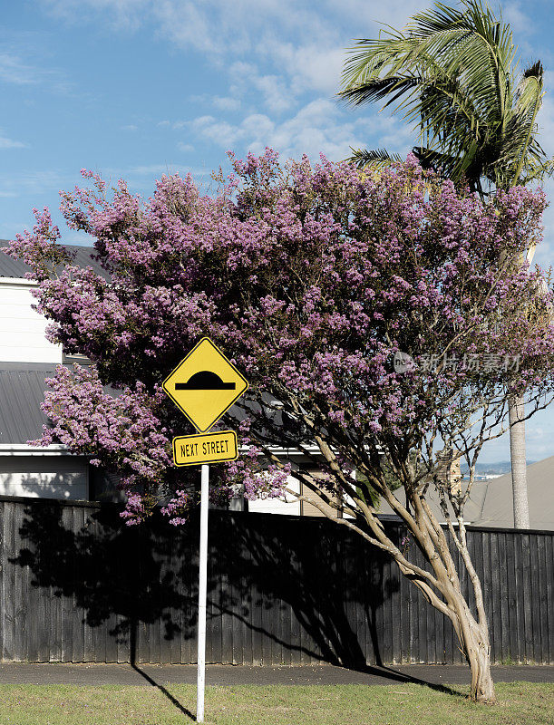 一棵紫薇树盛开在黄色菱形路标旁，路标指示前方有颠簸，背景是一棵棕榈树和一道栅栏