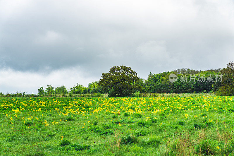 英国邓斯特布尔唐斯，夏天阴天从山上看到的英国风景