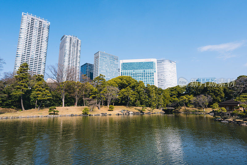 早春的滨水花园，日本，东京，中央地区
