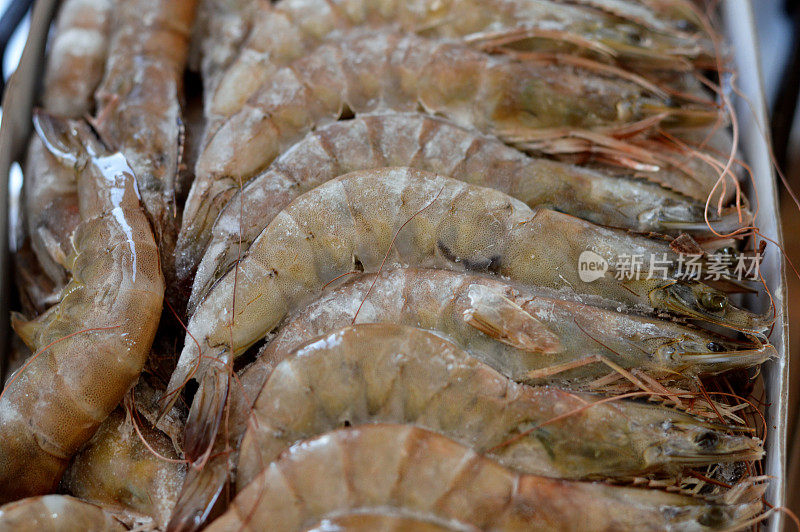一堆生冻虾，一种甲壳类动物(贝类的一种)，身体细长，主要以游泳为运动方式，十足目的甲壳目或枝鳃目，准备煮熟