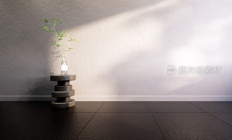 房间里黑色地板上的空阴影与桌子上白色墙壁上的植物花瓶，3D渲染