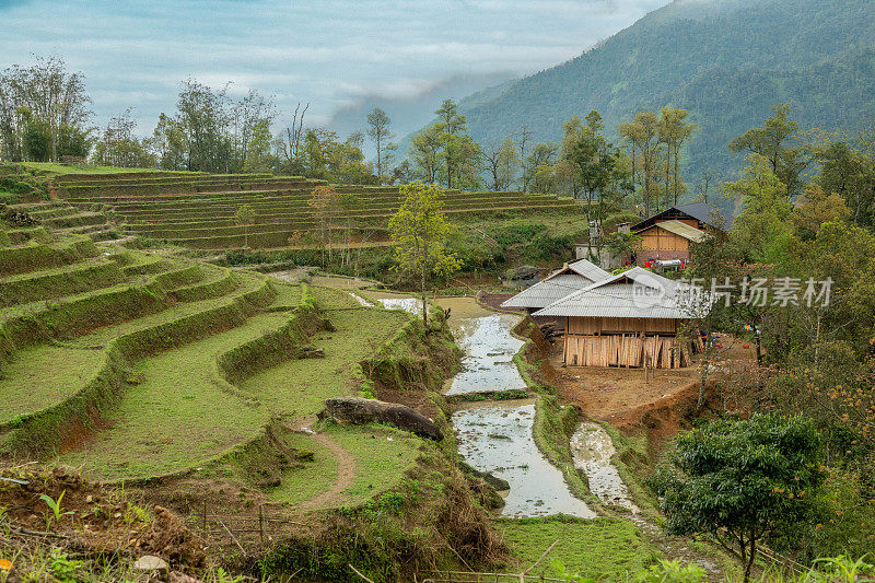 梯田脚下的传统越南风格农舍。越南北部山区，靠近沙巴