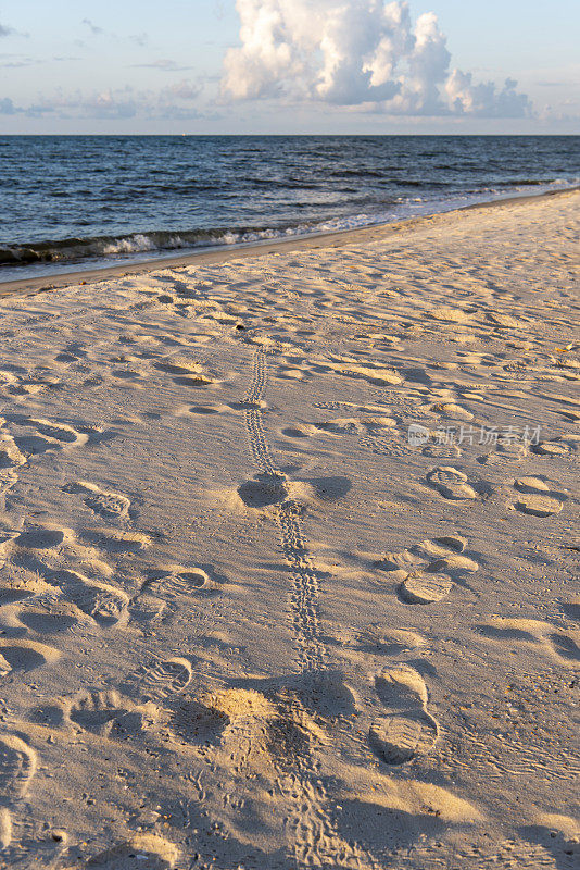 海滩上有许多人类的足迹和一组小海龟的足迹，它们以一定的角度朝向大海，暴风雨正在地平线上酝酿