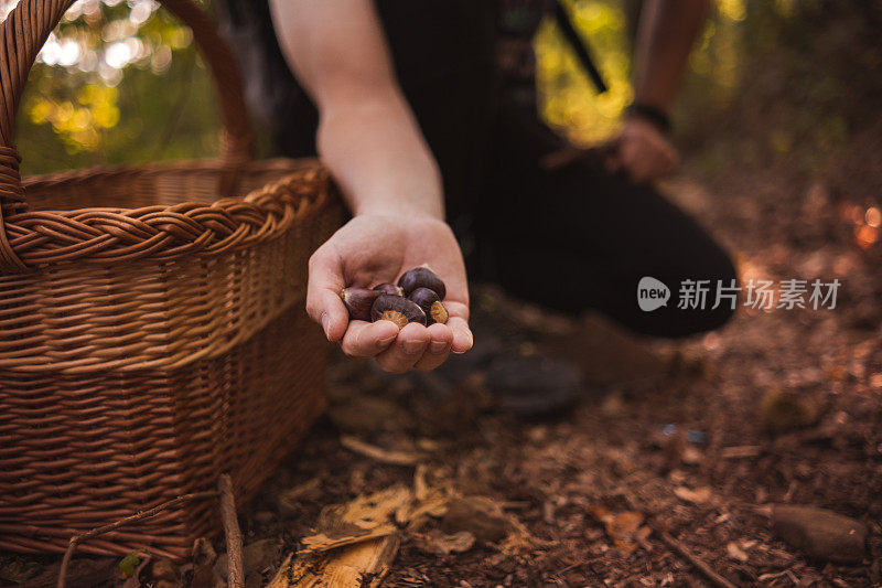 这里有一些美味的栗子